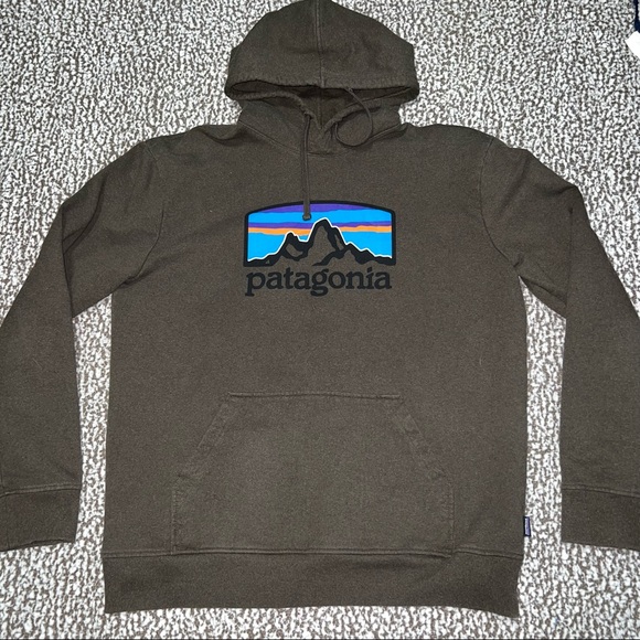 Patagonia Other - Patagonia hoodie